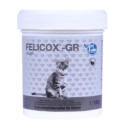 felicox-gr-pulver-katze